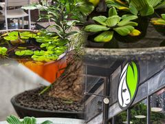 -813芭依珊 BAESAn(皇冠十畝地店)