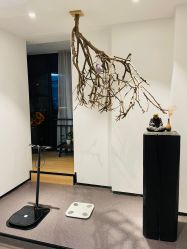 -吾之瑜生瑜伽普拉提学院