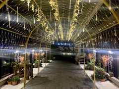 -冰冰龙虾·江湖菜·花园江景餐厅