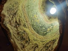 -Helens海伦司小酒馆(津湾广场店)