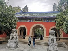 -灵谷景区