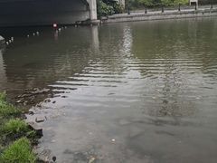 -美兰湖景区