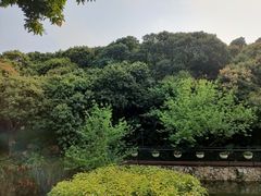 -月亮湾公园