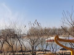 -大兴滨河森林公园