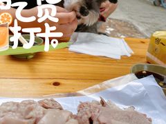 -小辫子羊肉面馆(周东店)
