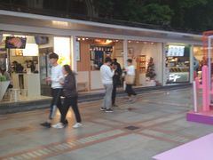 -VT101维多利广场