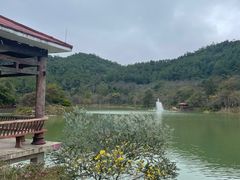 -广州白江湖森林公园