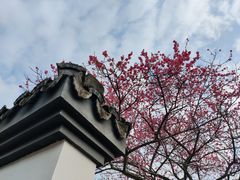 -杭州植物园