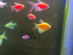 -欢乐海岸海洋奇梦馆