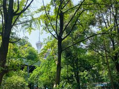 -成都市活水公园