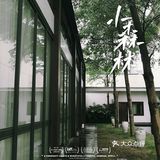 牛油果绿小众婚礼堂