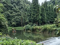 -龙苍沟森林公园