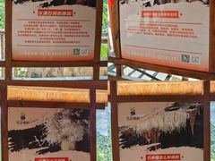 -巴马水晶宫