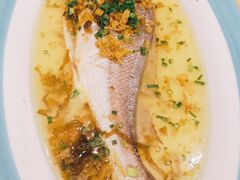 -高老庄新家宴(北斗星广场店)