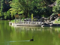-广州市帽峰山景区
