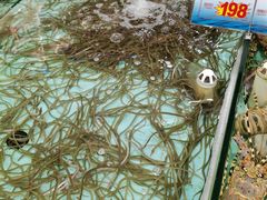 海鲜类-渔民新村(番禺总店)