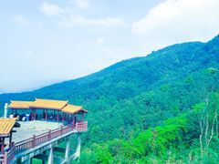 -铁山坪森林公园