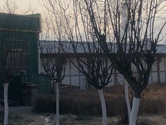 -中国石化民和马场垣服务区南加油站