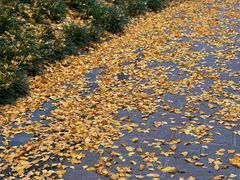 -蜀冈西峰生态公园