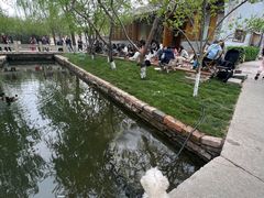 -春风习习