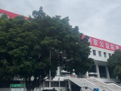 -天河游泳馆
