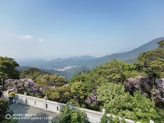 -梧桐山风景名胜区