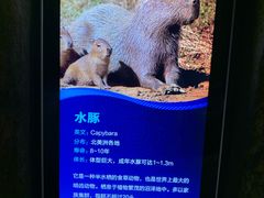 -波塞冬旅游度假区