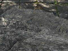 -五女峰国家森林公园