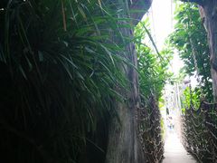 -巴拉湾海滩