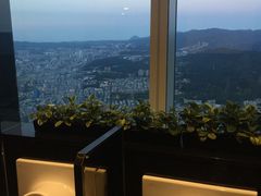 -顶鲜101美食美景餐厅
