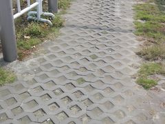 -上海新国际博览中心-贵宾停车场