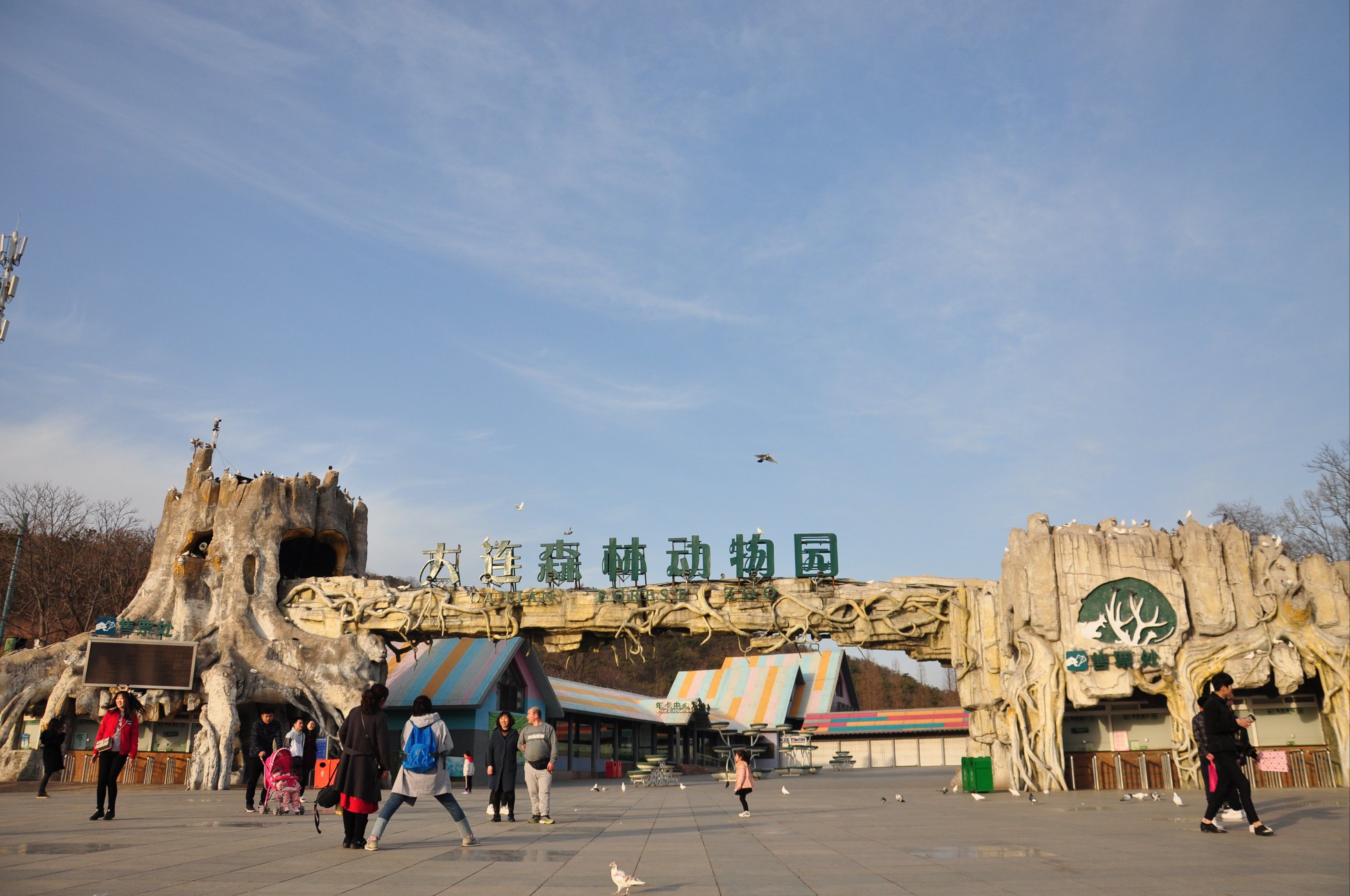 大连森林动物园攻略