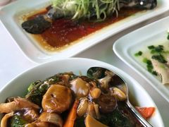 清蒸石斑鱼-凤城礼记鱼翅海鲜酒家(百老汇店)