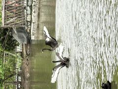 -厦门园林博览苑