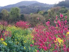 -广州市石门国家森林公园