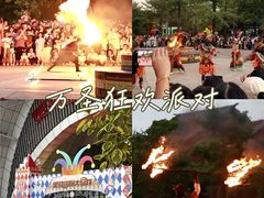 -灵玲国际马戏城
