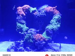 -海合安武汉极地海洋公园