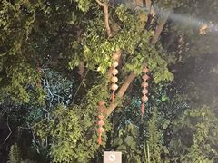 -印象普陀