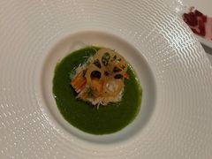 -蝶舍·MAISON PAPILLON