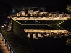 -福田红树林生态公园
