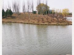 -东郊湿地公园