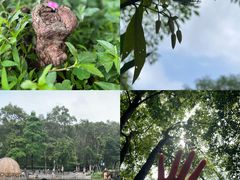 -广州市白云山风景名胜区