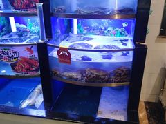 -七欣天香辣蟹火锅(上海奉贤杭州湾生活广场店)