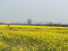 -汉长安城未央宫国家考古遗址公园