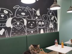 -安格丽娜·狗咖·猫咖羊驼咖(春熙路百盛商场店)