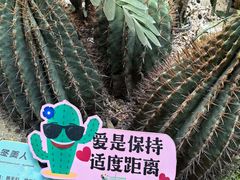 -正佳雨林生态植物园
