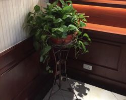 -YESIDO椰岛造型烫发染发