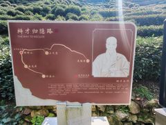 -十八棵（老龙井）御茶园(老龙井店)