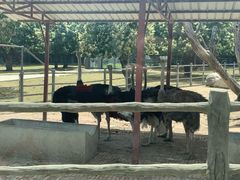 -西安秦岭野生动物园