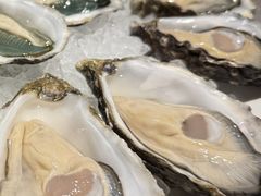 -Oyster Talks 四度蚝法餐厅